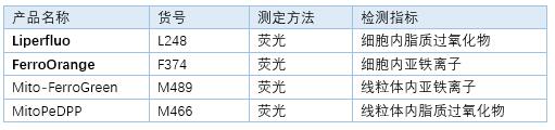 上(shàng)海正晃